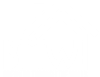 BTTW WHITE LOGO